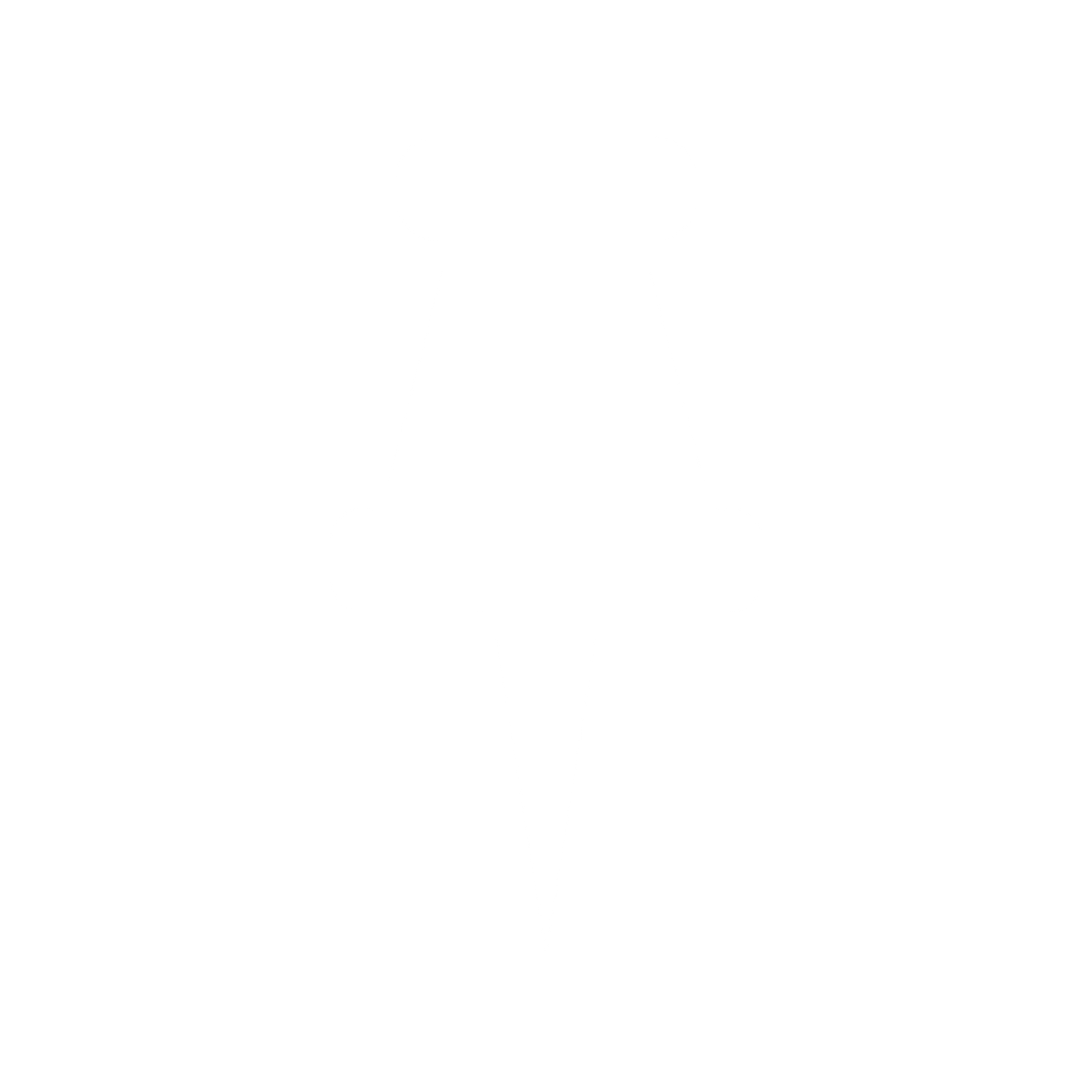 noun_1463363_ffffff.png